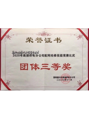 2020年配網(wǎng)搶修技能比賽比武團(tuán)體三等獎(jiǎng)